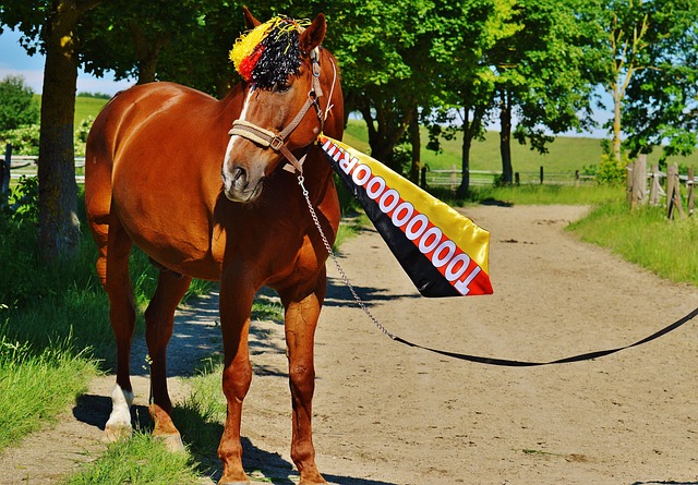 球队如何应 球队如何应