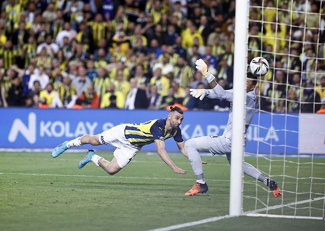 最近的训练 最近的训练