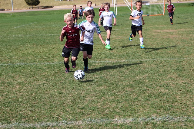 仅仅依靠个 仅仅依靠个