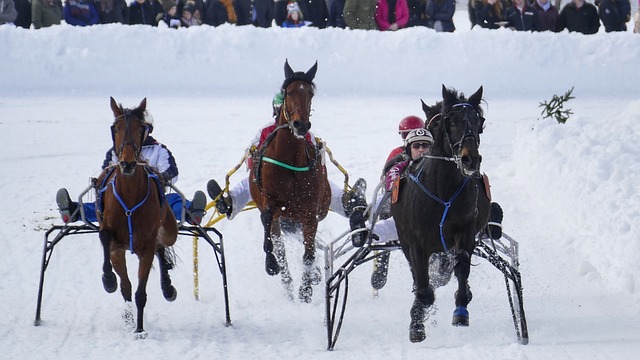 类似的情况 类似的情况