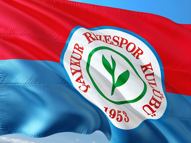 助力经常项 助力经常项