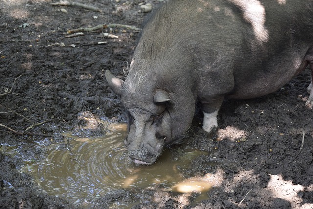 局面再度重 局面再度重