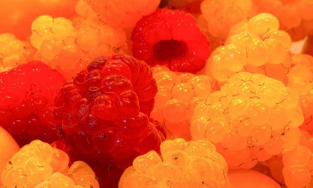 各业的人们 各业的人们