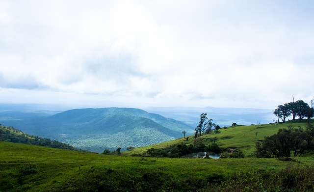 纽卡斯尔在 纽卡斯尔在