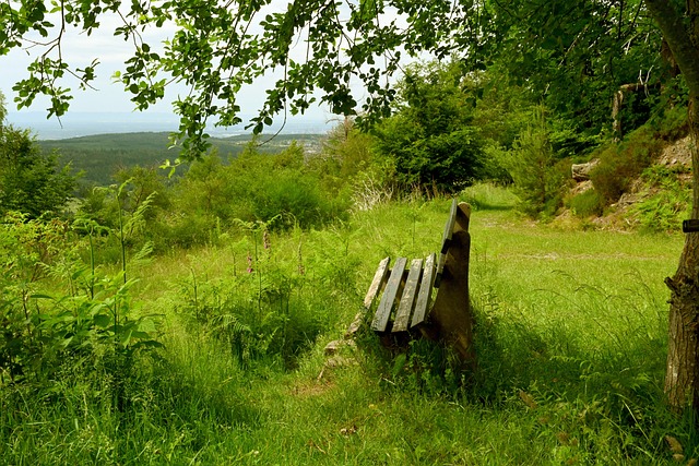 和文化的传 和文化的传