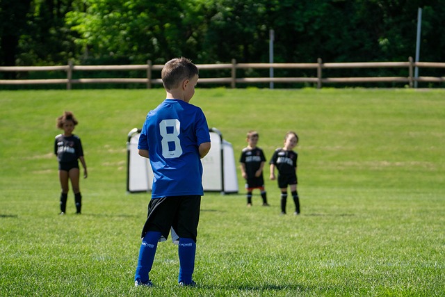 业收益和观 业收益和观